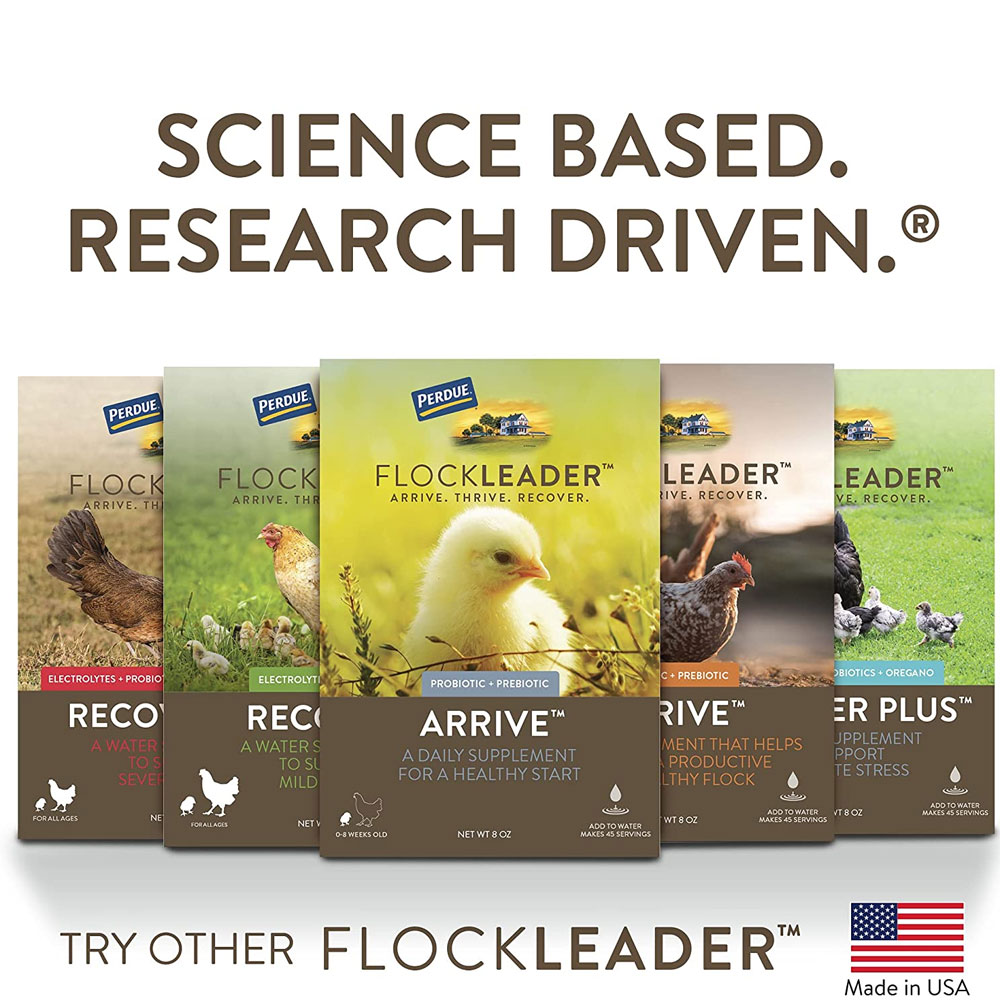 FLOCKLEADER-HEALTHY-COOP-12LB