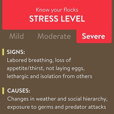 FLOCKLEADER-RECOVER-911-WATER-SUPPLEMENT-8OZ