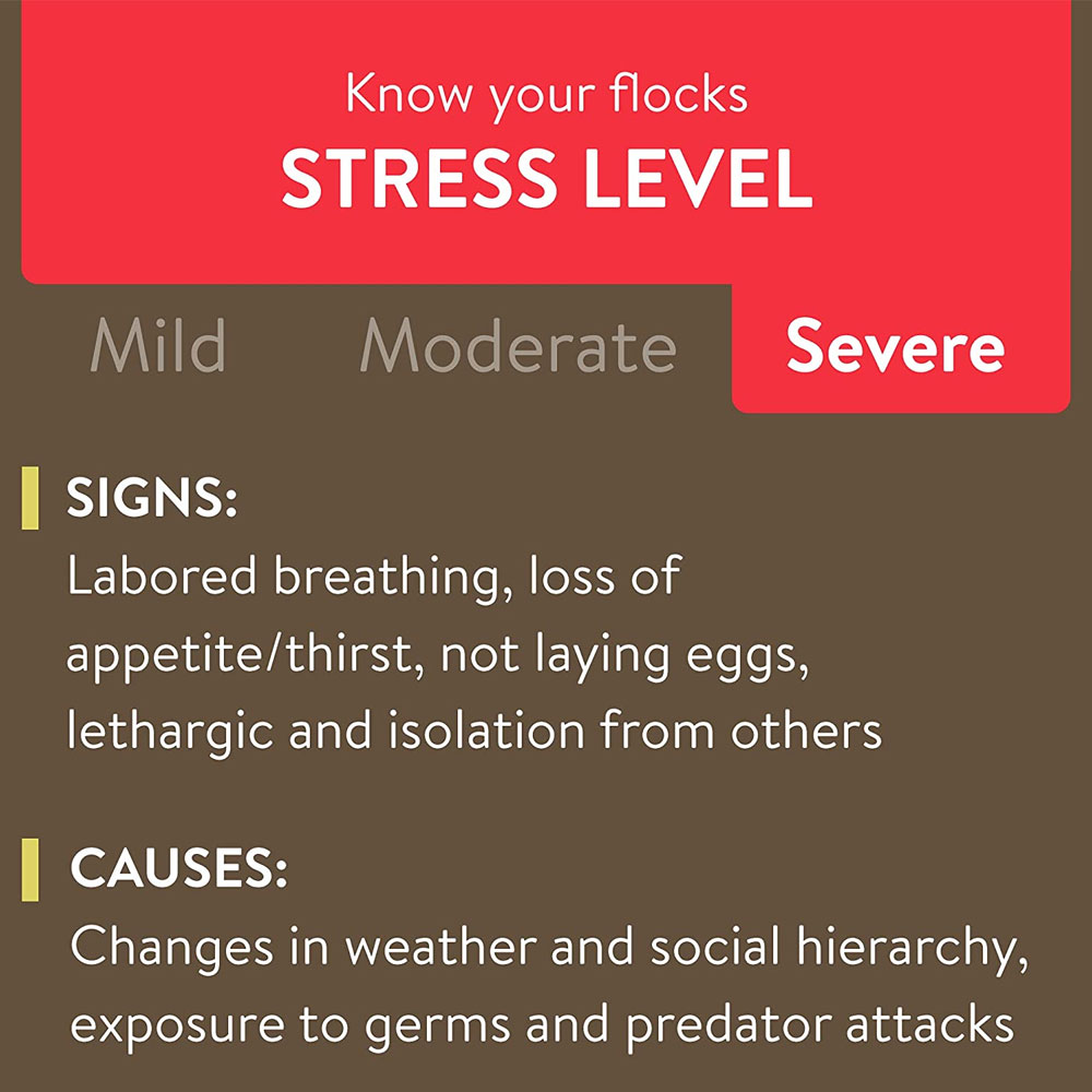 FLOCKLEADER-RECOVER-911-WATER-SUPPLEMENT-8OZ