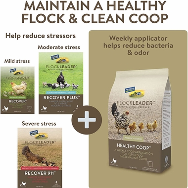 FLOCKLEADER-RECOVER-911-WATER-SUPPLEMENT-8OZ