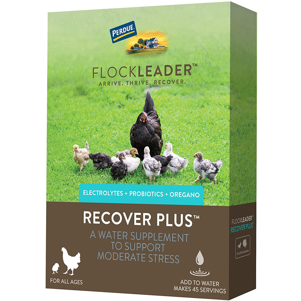 FLOCKLEADER-RECOVER-PLUS-POULTRY-SUPPLEMENT-8OZ