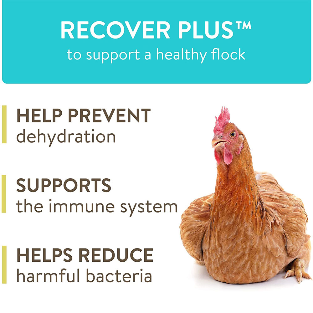 FLOCKLEADER-RECOVER-PLUS-POULTRY-SUPPLEMENT-8OZ