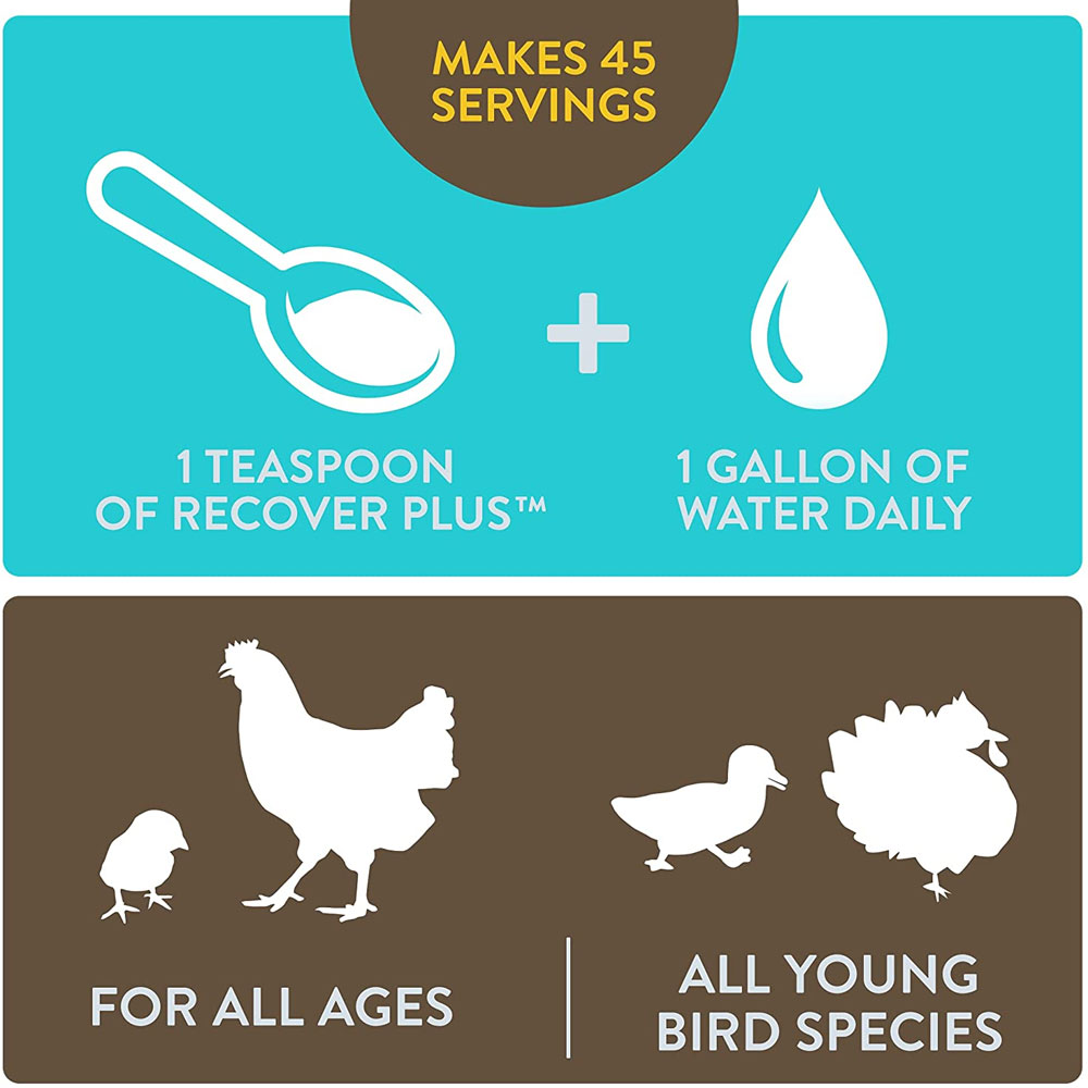 FLOCKLEADER-RECOVER-PLUS-POULTRY-SUPPLEMENT-8OZ