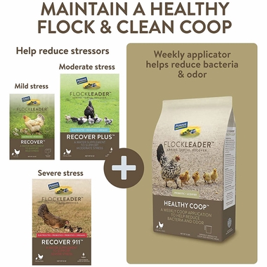 FLOCKLEADER-RECOVER-PLUS-POULTRY-SUPPLEMENT-8OZ