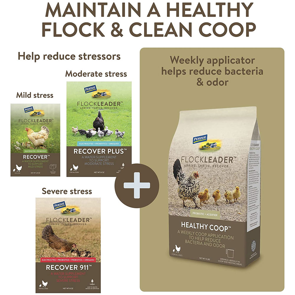 FLOCKLEADER-RECOVER-PLUS-POULTRY-SUPPLEMENT-8OZ