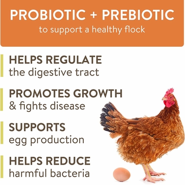 FLOCKLEADER-THRIVE-POULTRY-SUPPLEMENT-8OZ