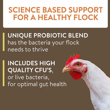 FLOCKLEADER-THRIVE-POULTRY-SUPPLEMENT-8OZ