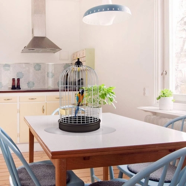 FLOORTEX-PTEX-ANTMICRBIAL-PK2-PTMTS-12-DIAMTR