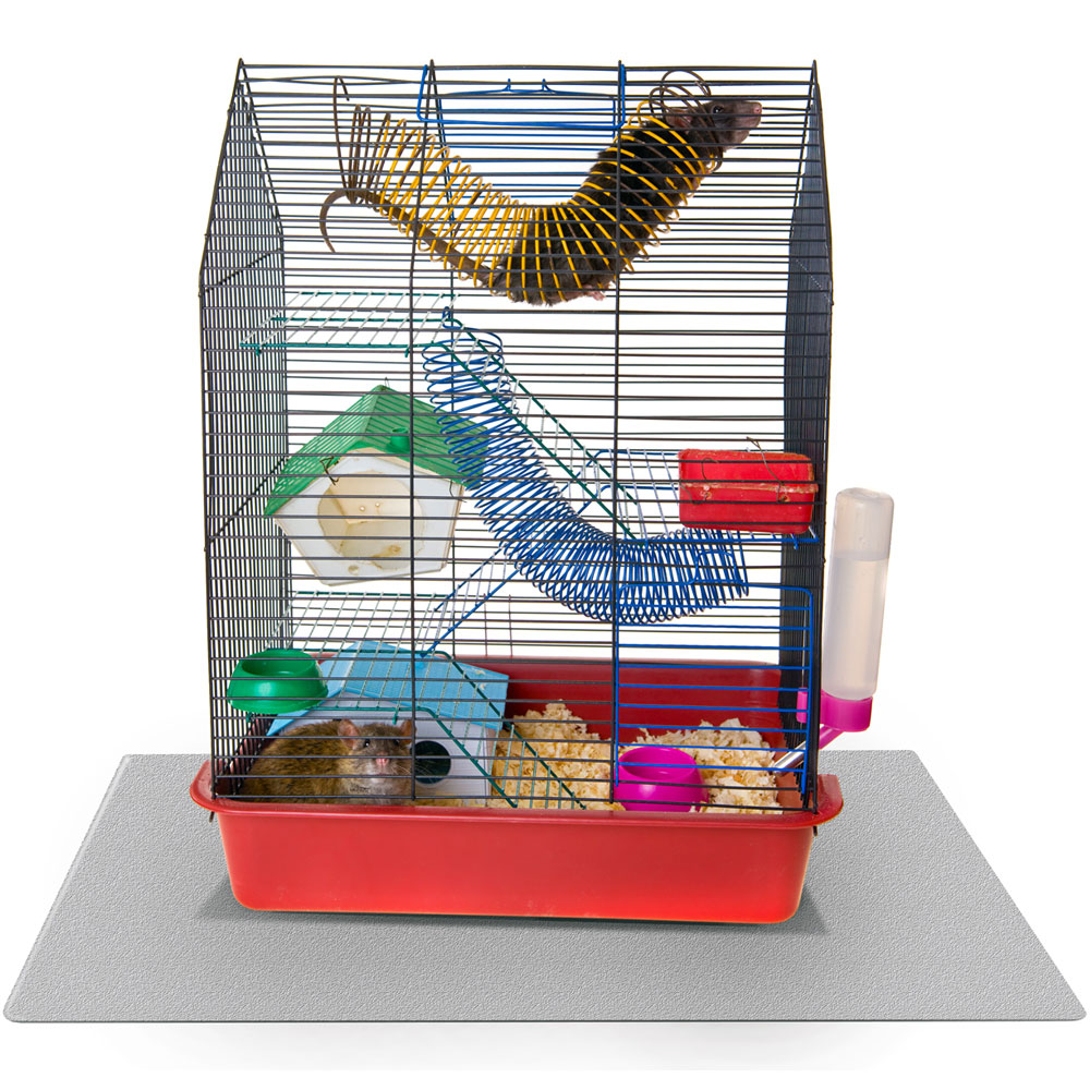 TEX-PET-MAT-19X24