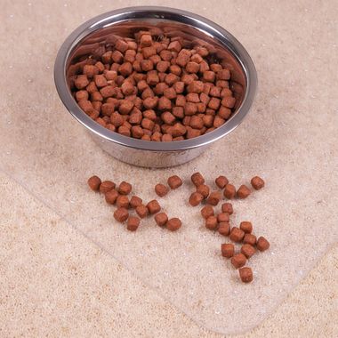 TEX-PET-MAT-CARPET-48X60