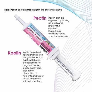 FLORA-PECTIN-ORAL-PASTE-30-CC