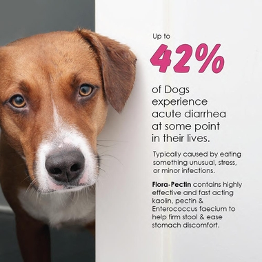 FLORA-PECTIN-ORAL-PASTE-60-CC