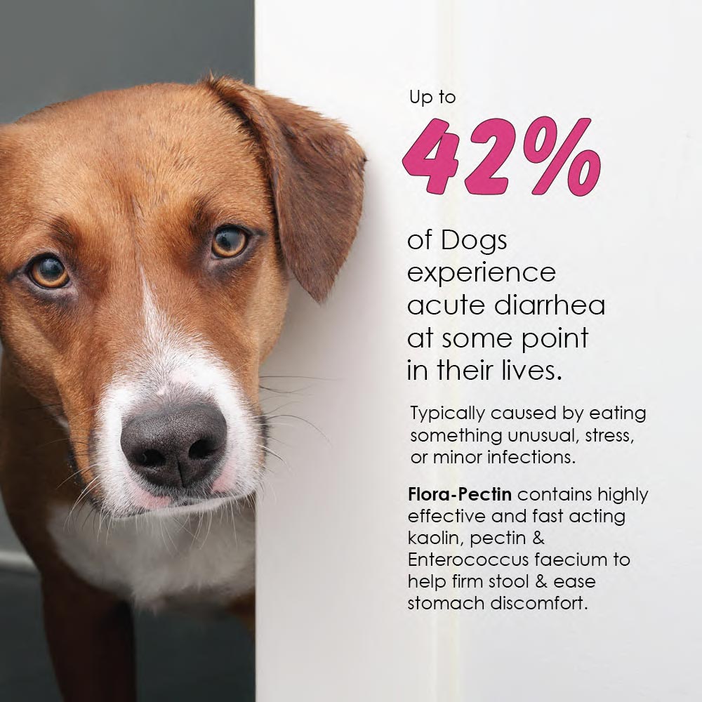 FLORA-PECTIN-ORAL-PASTE-60-CC