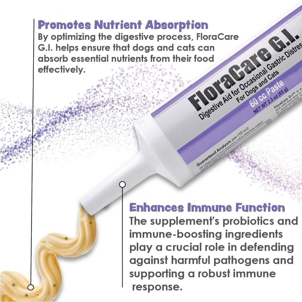 RAPIDCARE60