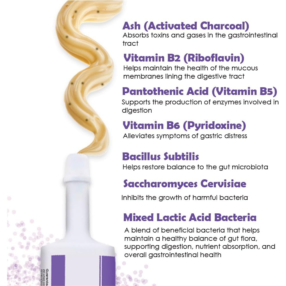 RAPIDCARE60