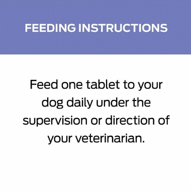 FORTIFLORA-CHEW-TABS-90-COUNT