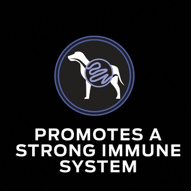 FORTIFLORA-CHEW-TABS-90-COUNT