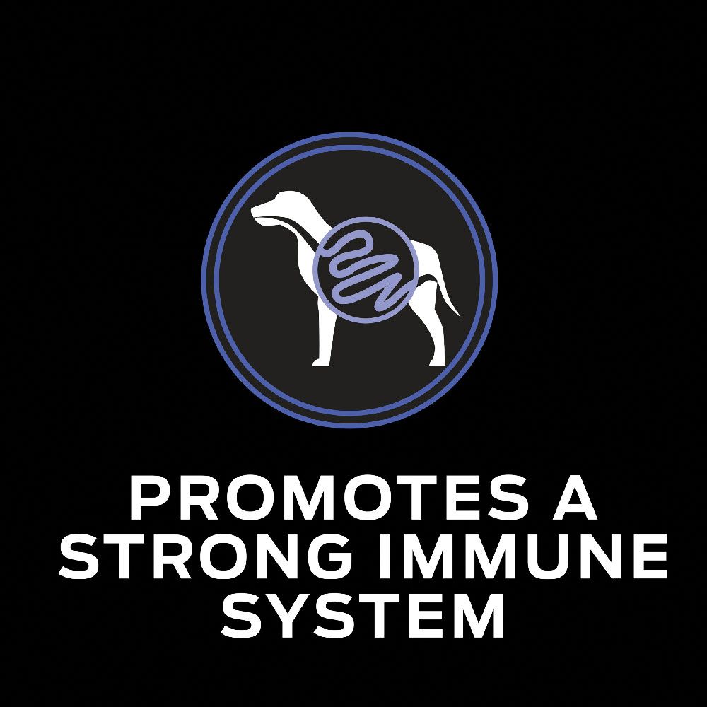 FORTIFLORA-CHEW-TABS-90-COUNT