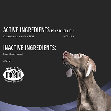 Fortiflora supplement being poured into a dog bowl