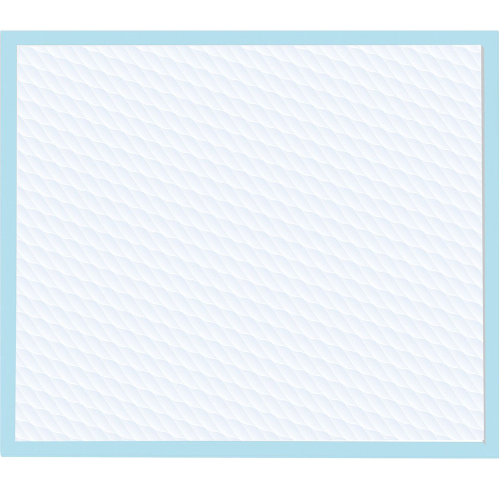 FOUR-PAWS-WEE-WEE-PUPPY-PADS-10-COUNT