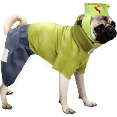 CASUAL-CANINE-FRANKENHOUND-COSTUME-GREEN-SMALL