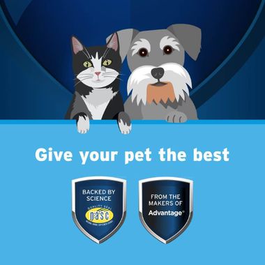 FREE-FORM-LIQUID-4-OZ