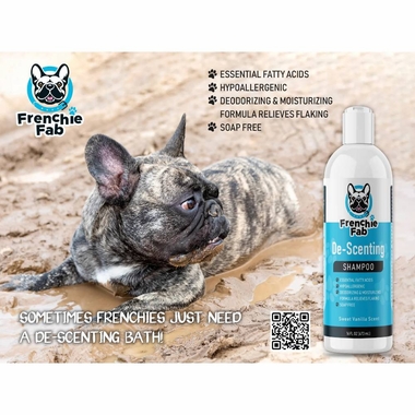 FRENCHIE-FAB-DESCENTING-SHAMPOO-16OZ