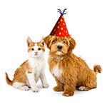 Friends and Family Appreciation Sale!