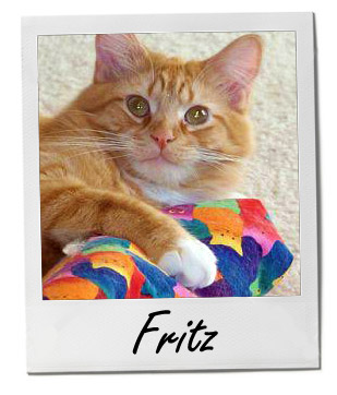 Fritz 8/7/14