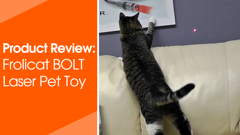 FroliCat BOLT Laser Pet Toy