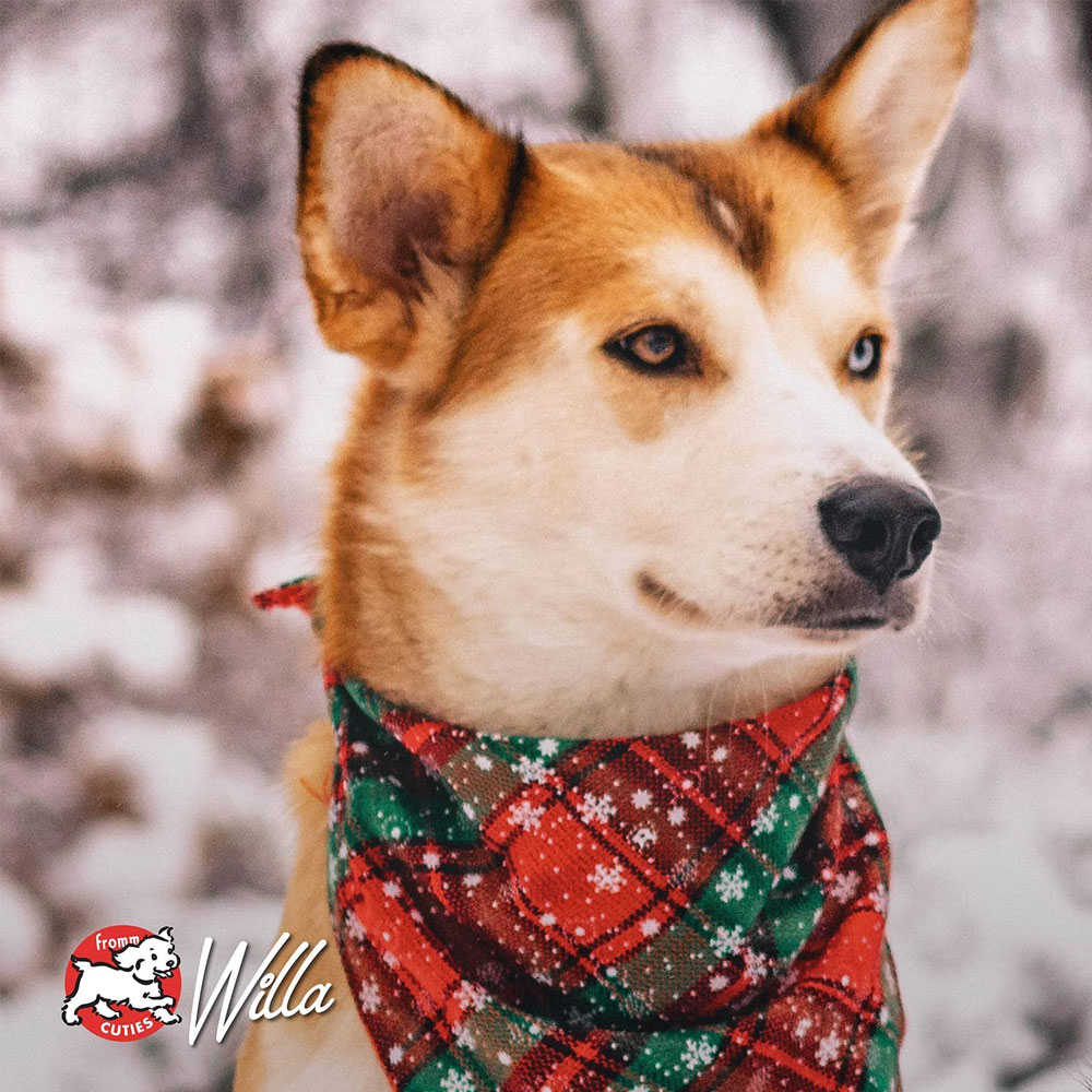 FOUR-STAR-DOG-DRY-DUCK-SWEET-POTATO-5LB