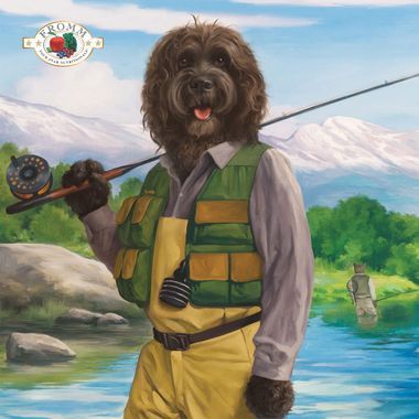 FOUR-STAR-DOG-DRY-SURF-TURF-12LB