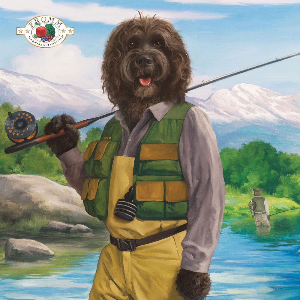 FOUR-STAR-DOG-DRY-SURF-TURF-12LB