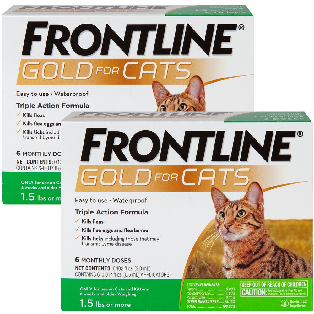 FRONTLINE-GOLD-CATS-12-MONTH