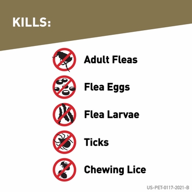 FRONTLINE-GOLD-CATS-12-MONTH