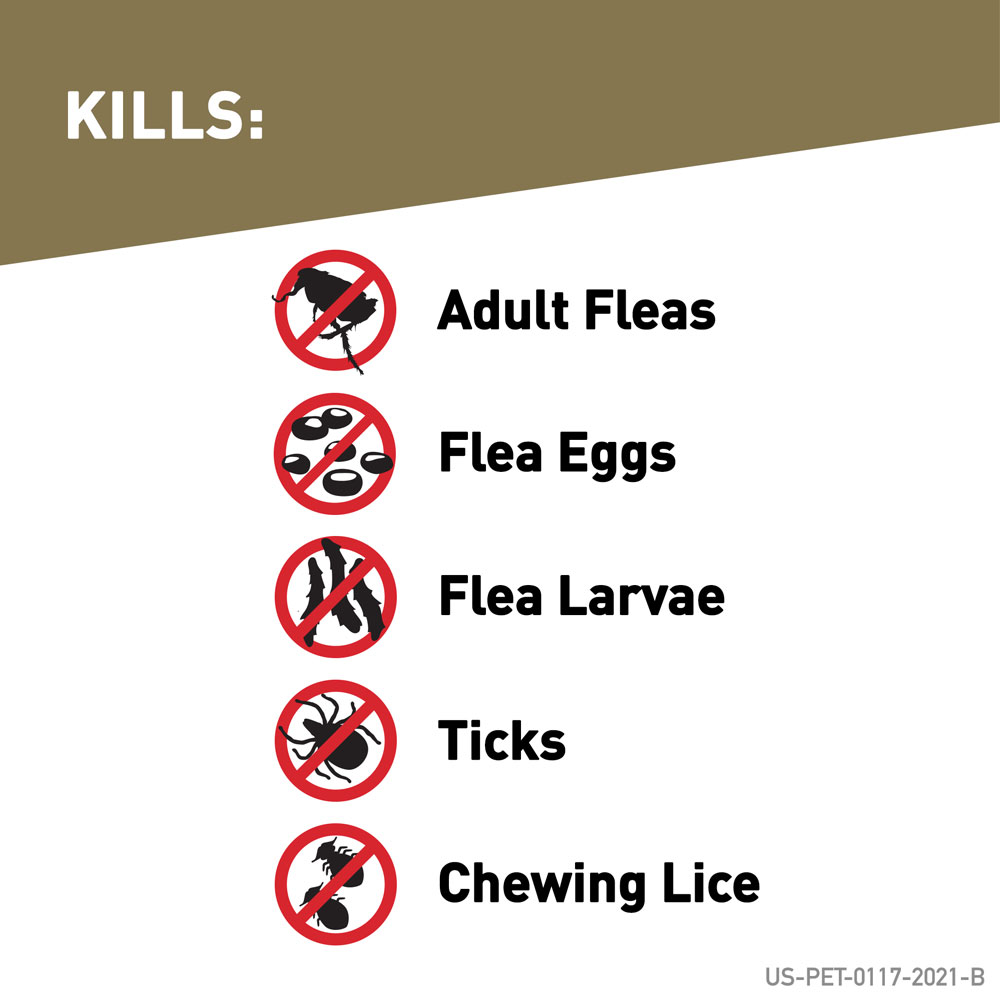 FRONTLINE-GOLD-CATS-12-MONTH