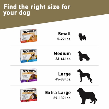 FRONTLINE-GOLD-CATS-12-MONTH