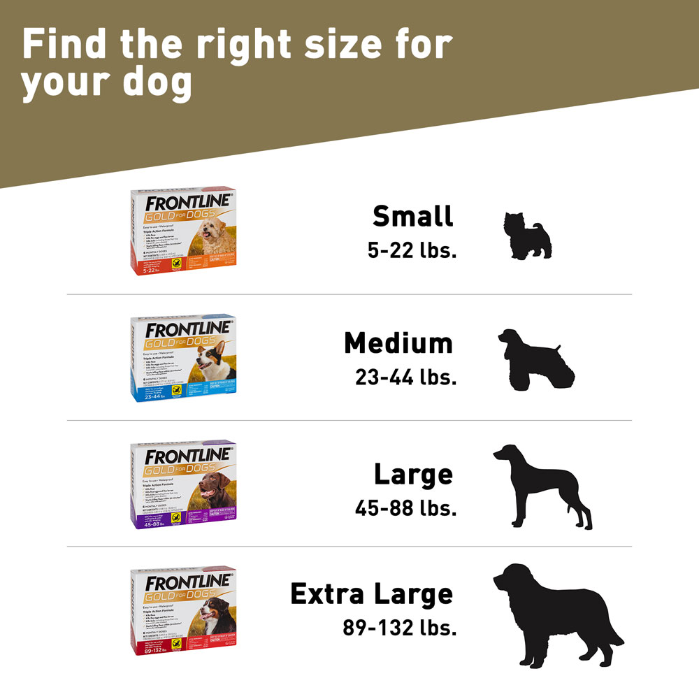 FRONTLINE-GOLD-CATS-12-MONTH