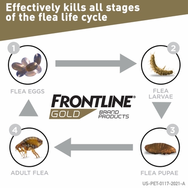 FRONTLINE-GOLD-DOGS-BLUE-3-MONTH