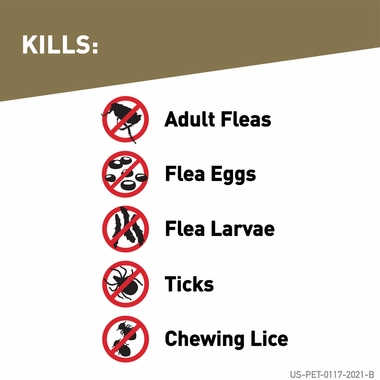 FRONTLINE-GOLD-DOGS-BLUE-3-MONTH