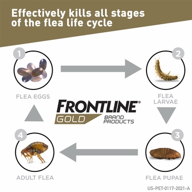 FRONTLINE-GOLD-DOGS-ORANGE-12-MONTH