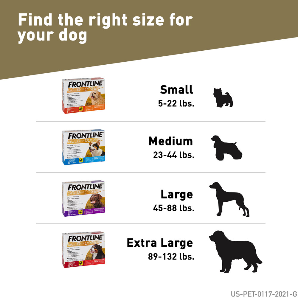 FRONTLINE-GOLD-DOGS-ORANGE-12-MONTH