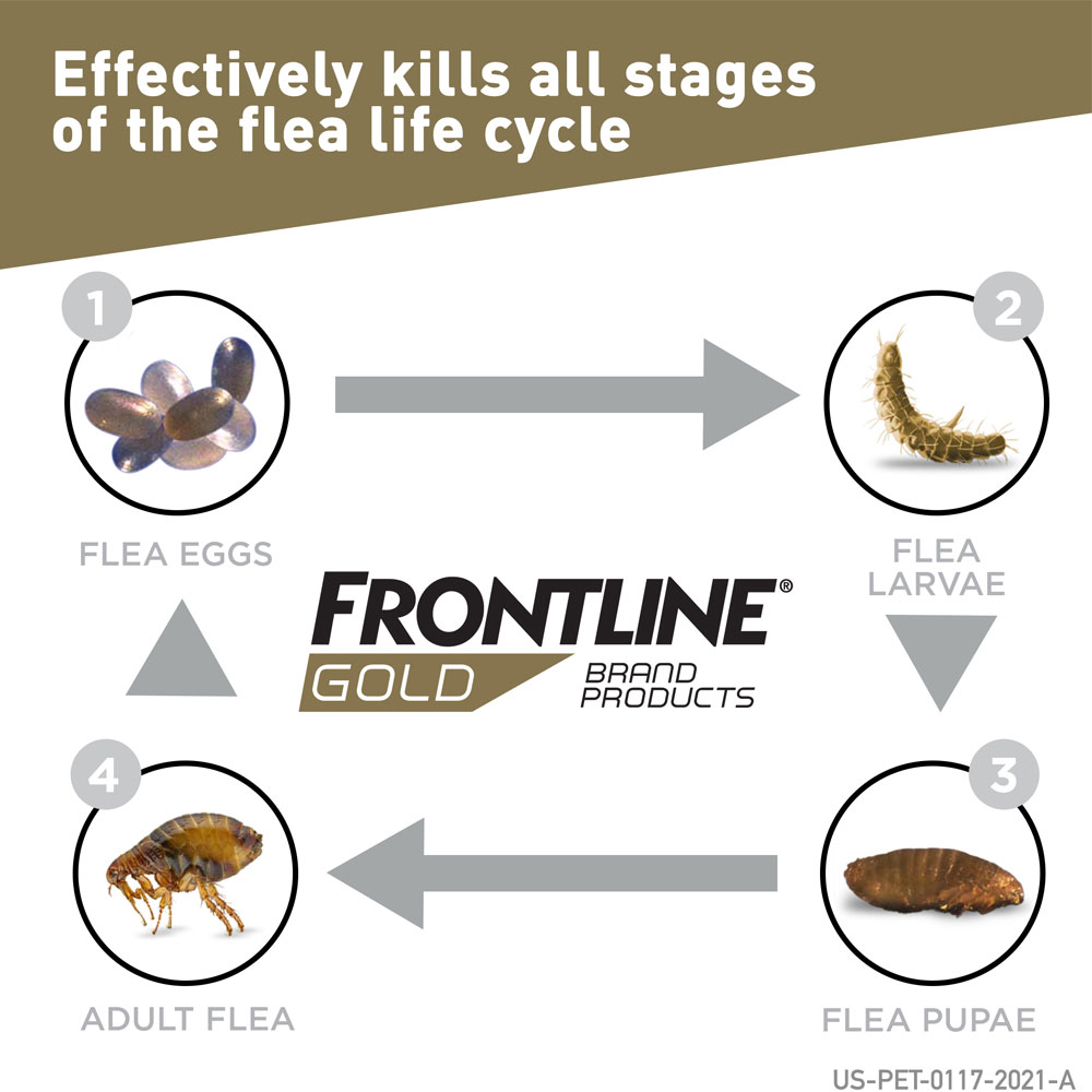 FRONTLINE-GOLD-DOGS-ORANGE-3-MONTH