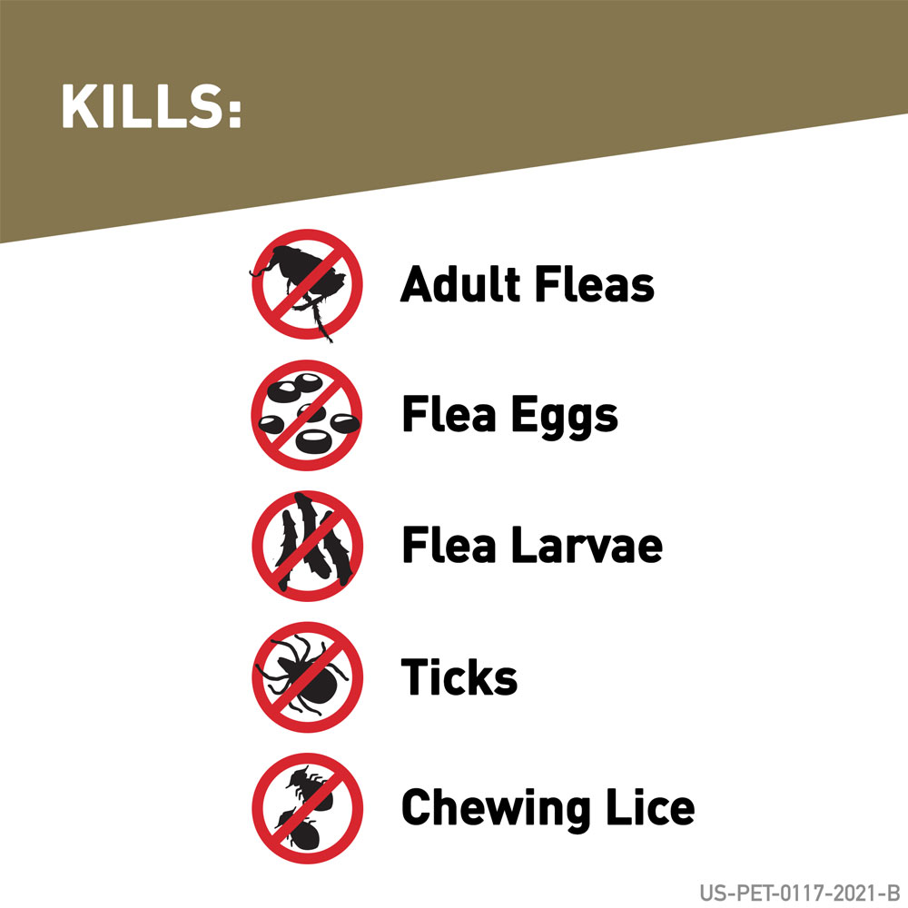 FRONTLINE-GOLD-DOGS-ORANGE-6-MONTH