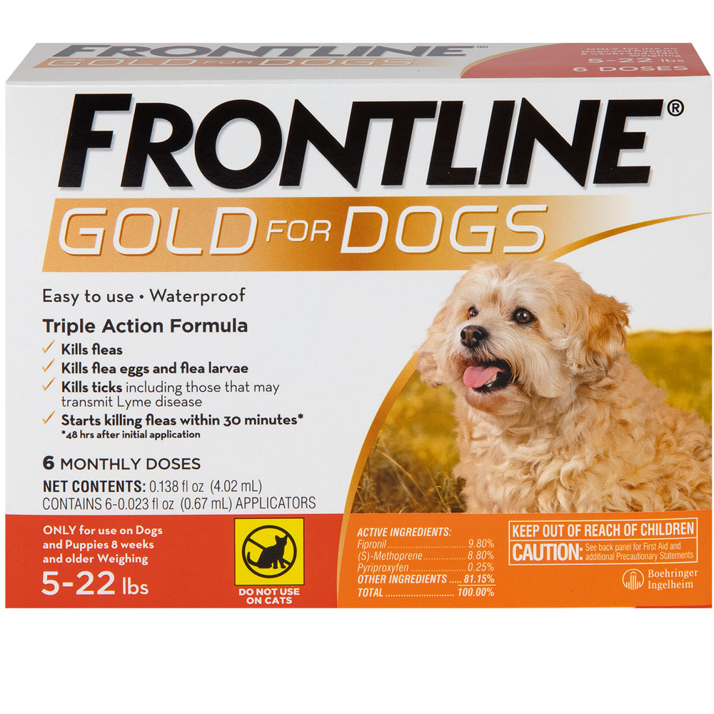 FRONTLINE-GOLD-DOGS-ORANGE-6-MONTH