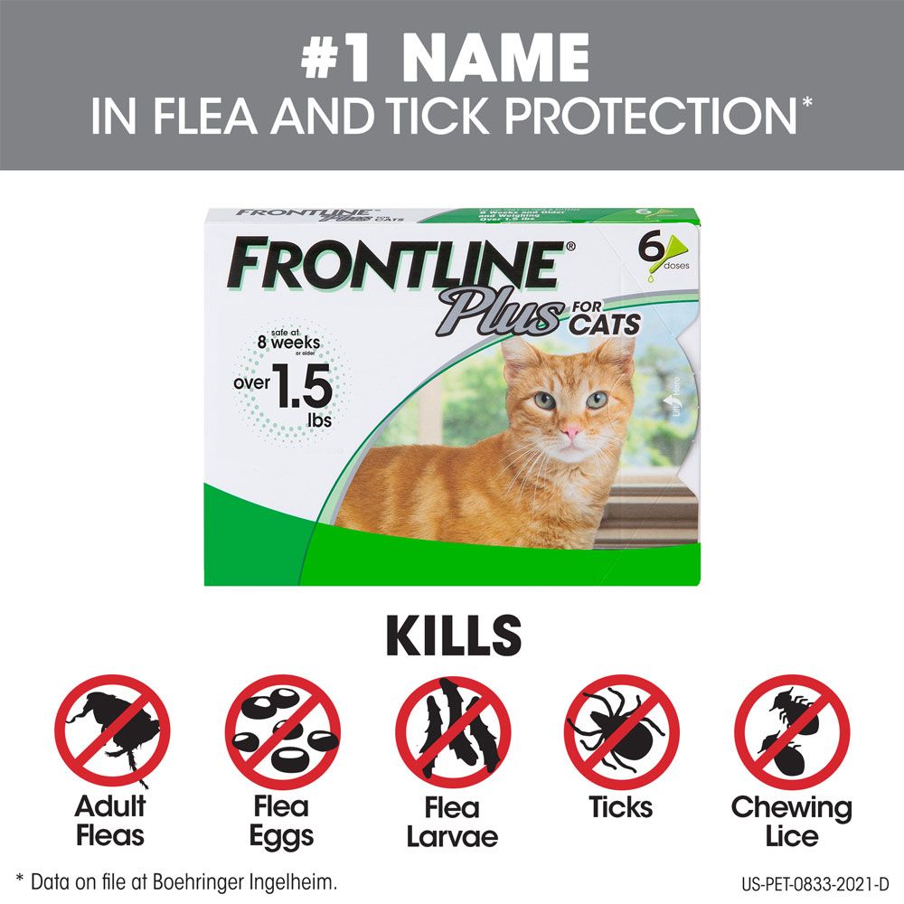FRONTLINE-PLUS-FOR-CATS-6-MONTH