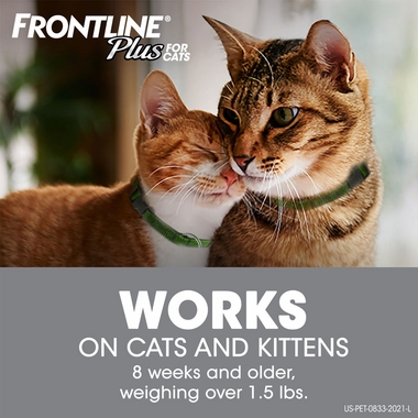 FRONTLINE-PLUS-FOR-CATS-6-MONTH