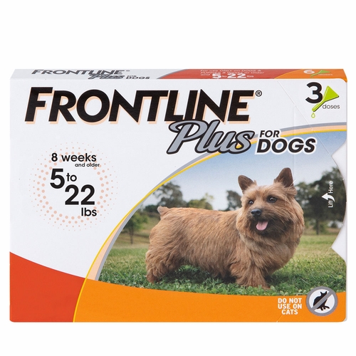 Frontline Plus for Dogs 5-22 lbs, Month On Sale EntirelyPets