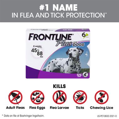 Frontline Plus for Dogs 45-88 lbs, 6 Month | On Sale | EntirelyPets