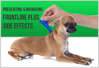 Frontline Plus Side Effects